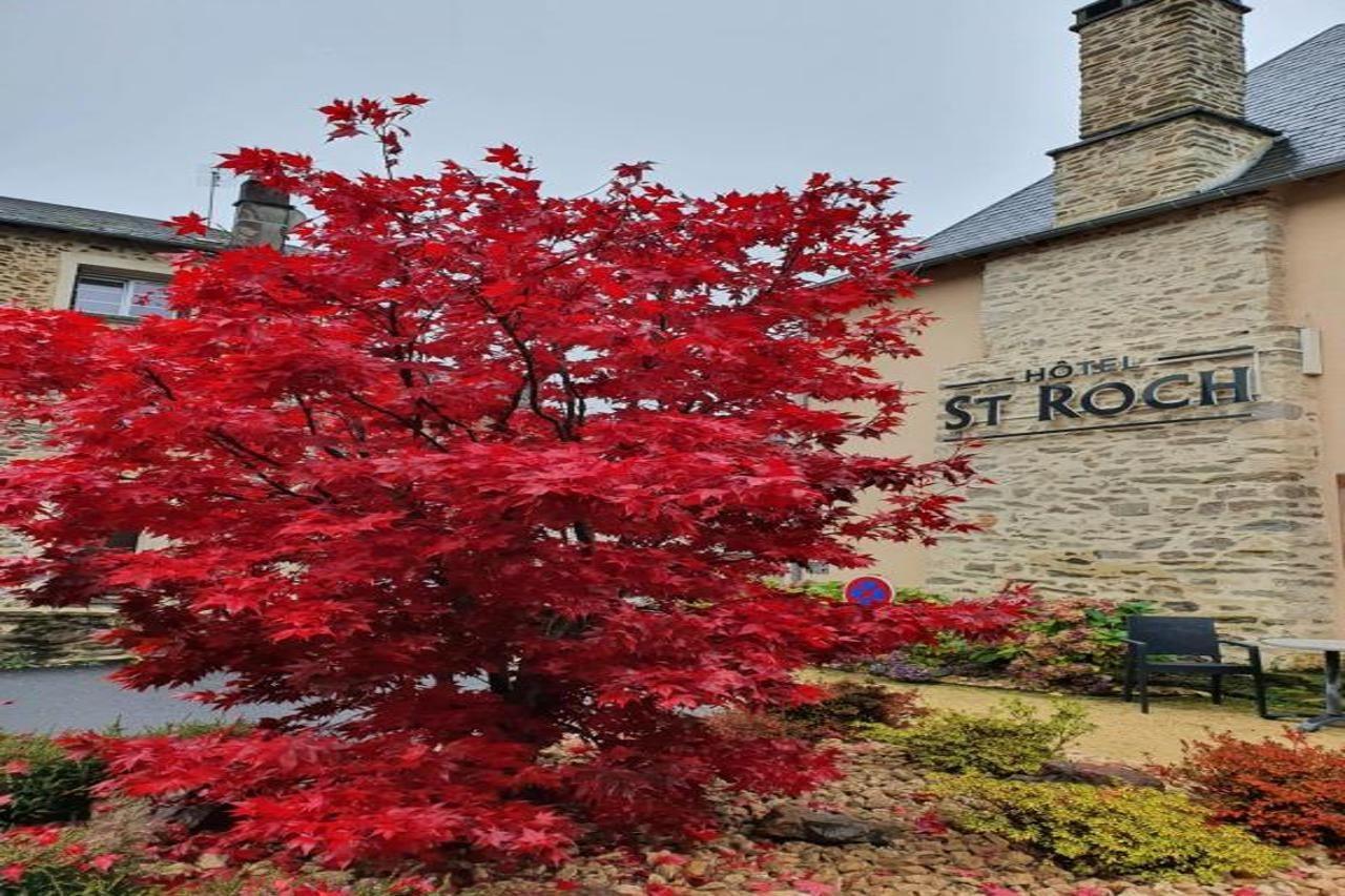 The Originals Relais Hotel Saint-Roch 萨勒祖伊特 外观 照片