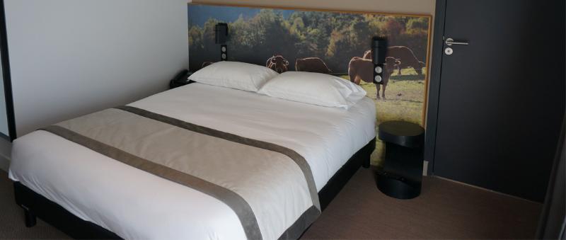 The Originals Relais Hotel Saint-Roch 萨勒祖伊特 外观 照片